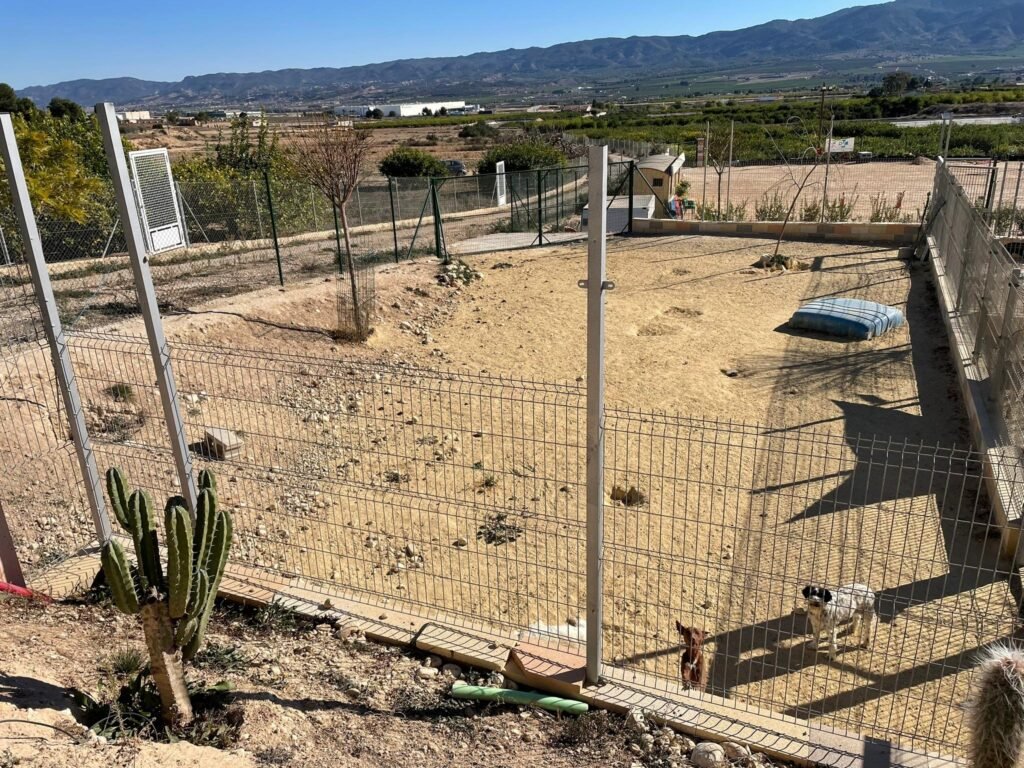 residencia canina dequiresa