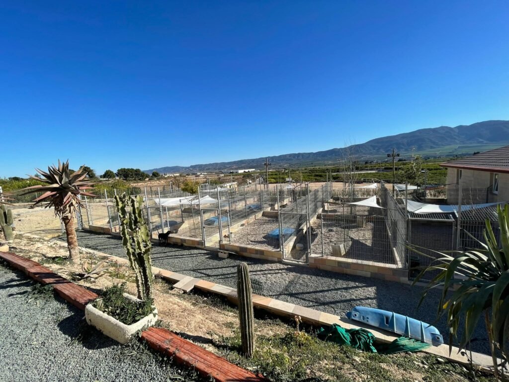 residencia canina dequiresa