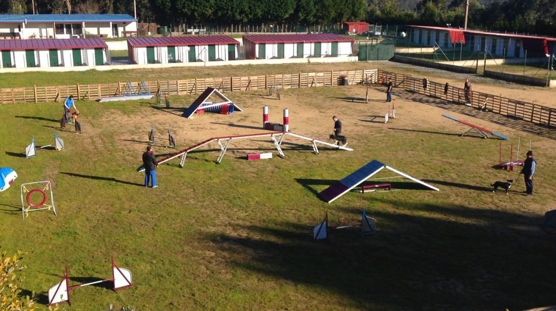 centro canino kennels