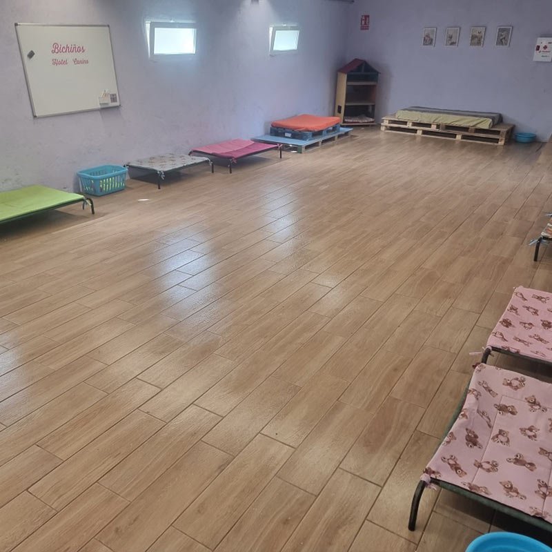 hotel canino bichiños