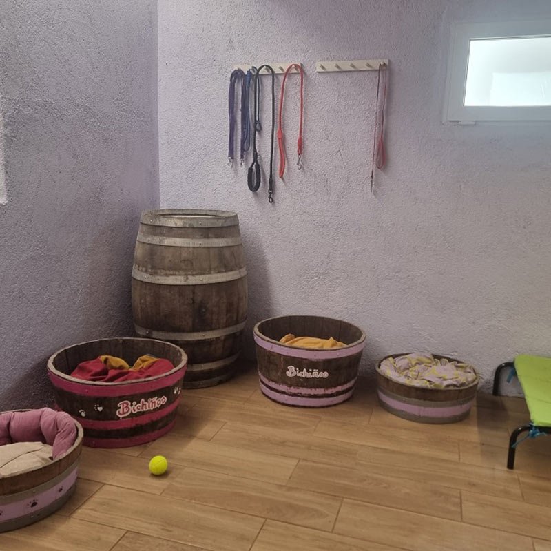 hotel canino bichiños