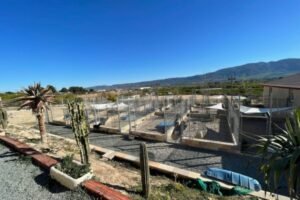 residencia canina dequiresa
