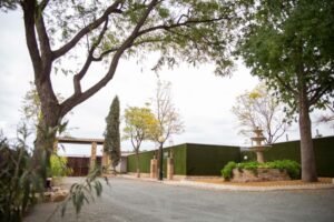 residencia canina somos muy perros