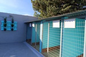 residencia canina los arboles