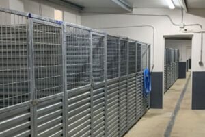 residencia canina murcia dog