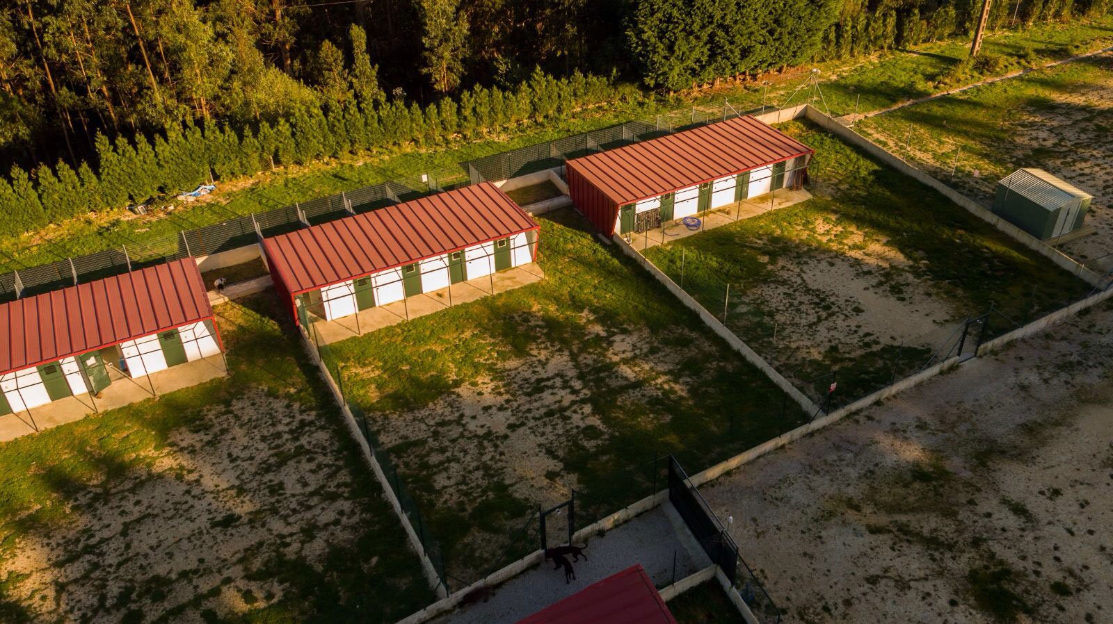centro canino kennels