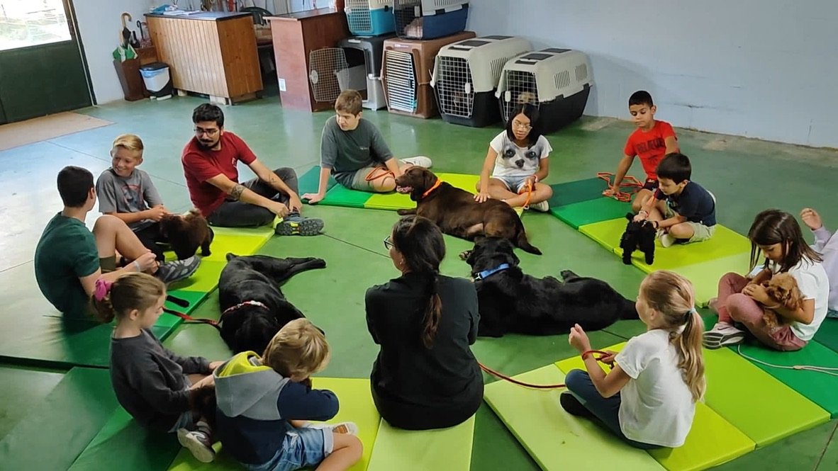 hotel canino ramalladas
