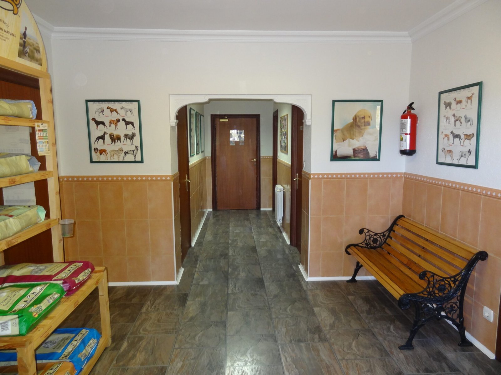 residencia canina eder can