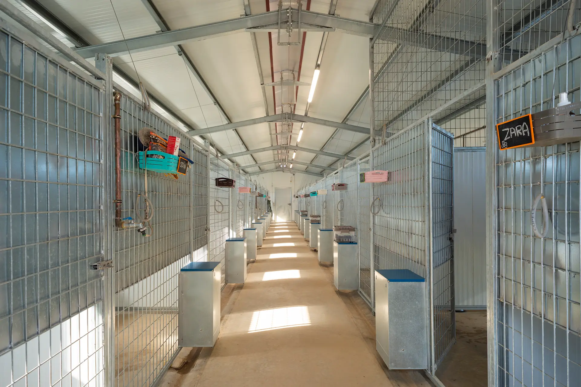 hotel canino ruralvet