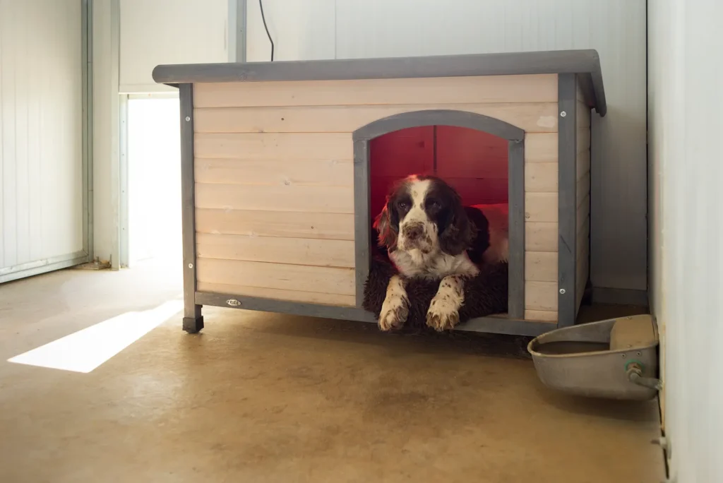 hotel canino ruralvet