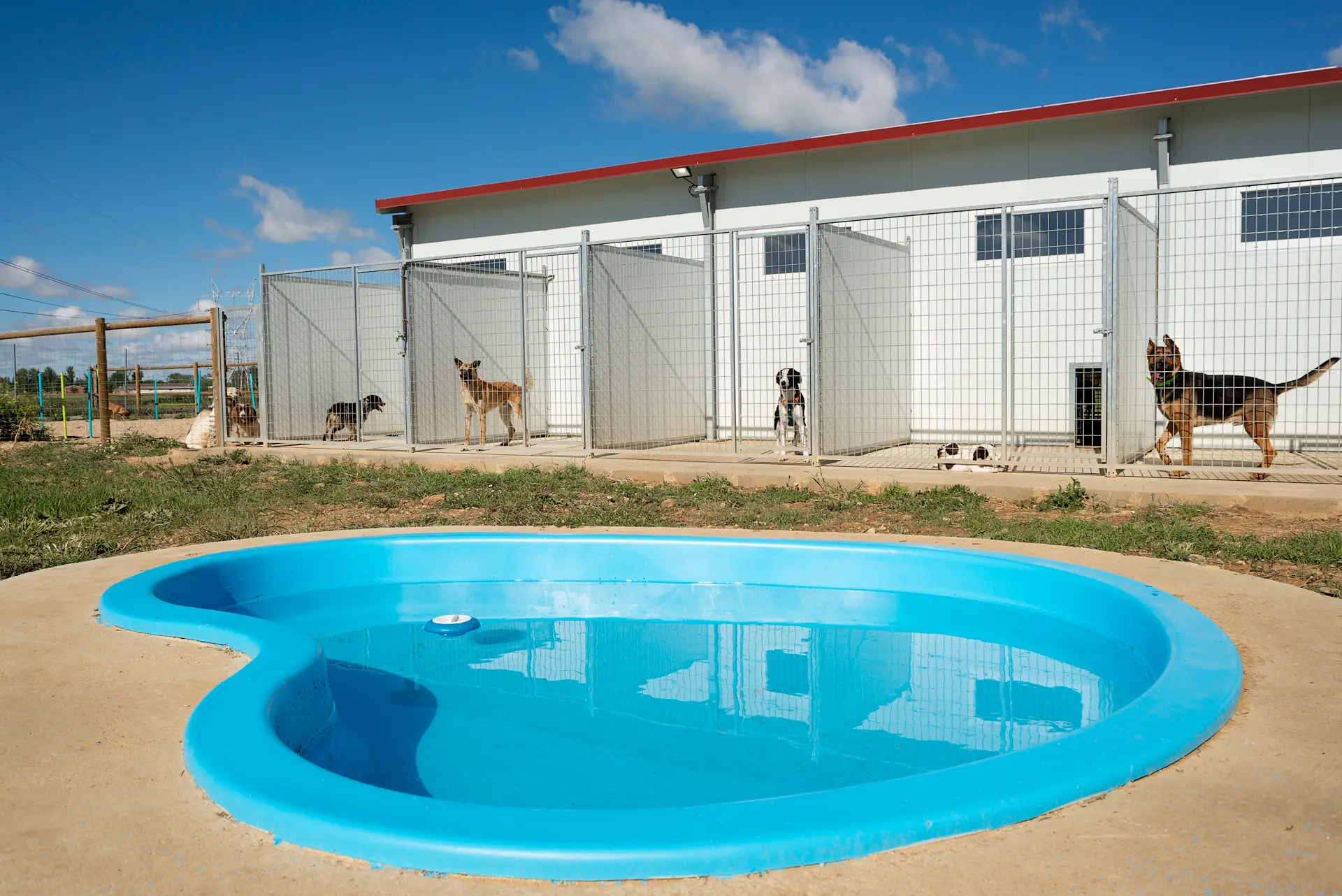 hotel canino ruralvet