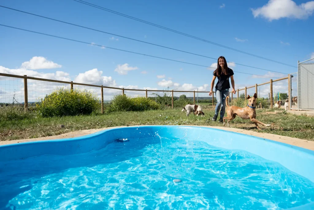 hotel canino ruralvet