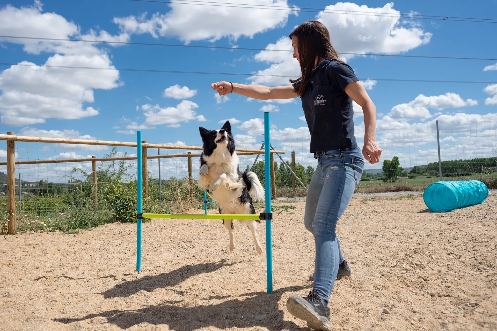 hotel canino ruralvet