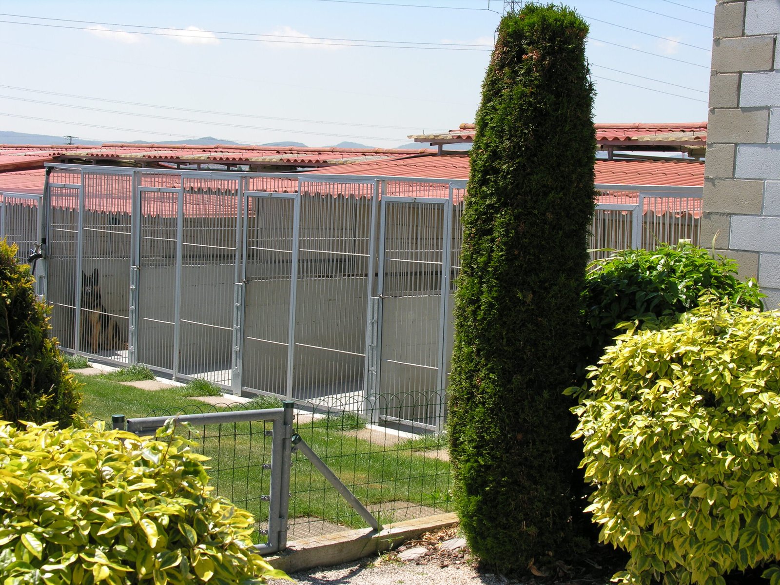 residencia canina eder can