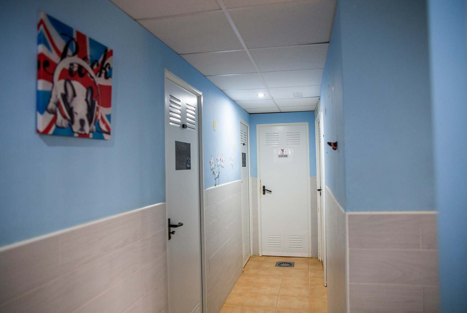 residencia canina somos muy perrunos