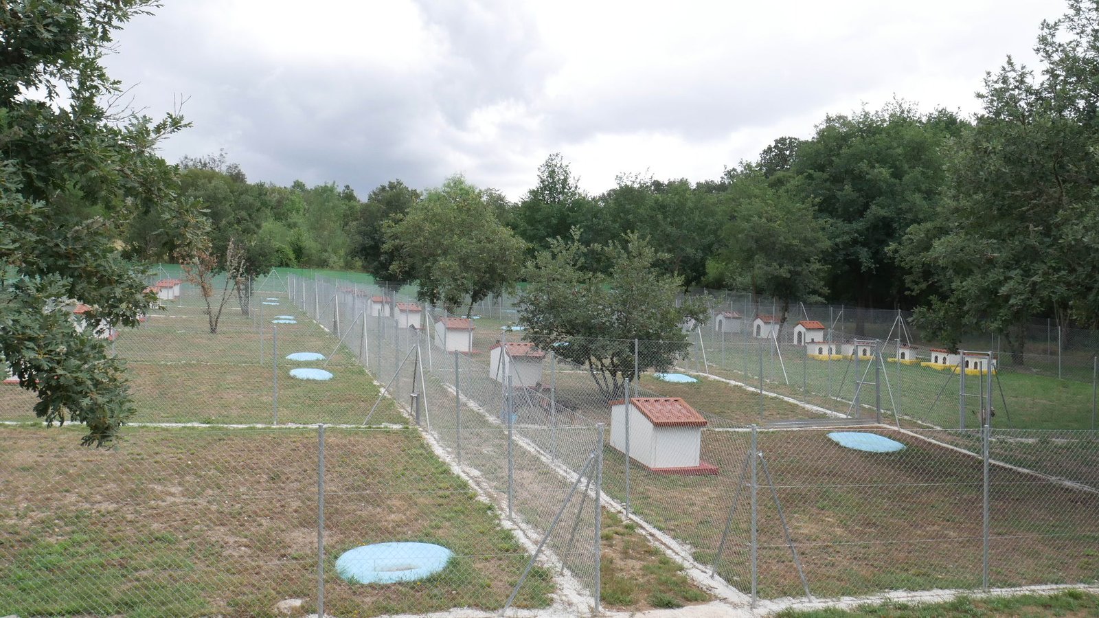 centro canino a fresca ribera