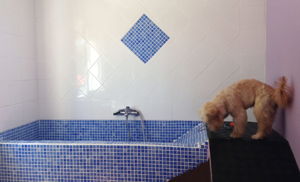 centro canino kennels