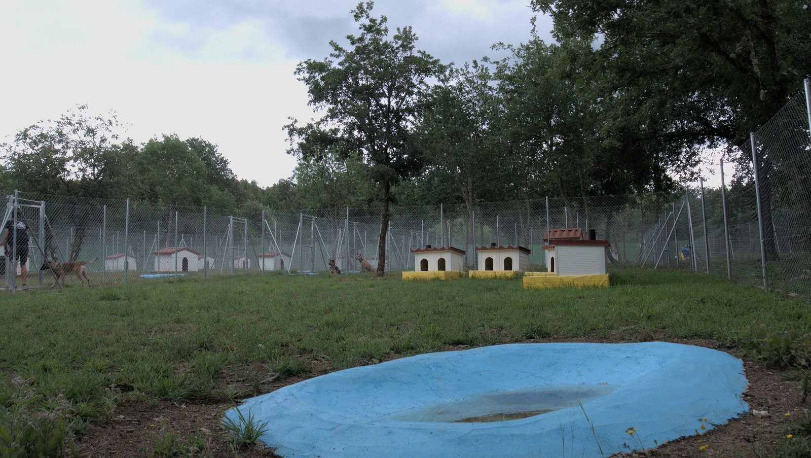 centro canino a fresca ribera