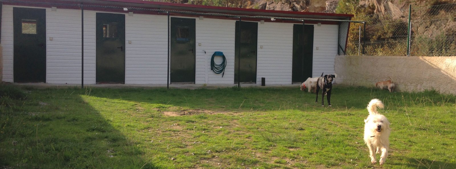centro canino kennels
