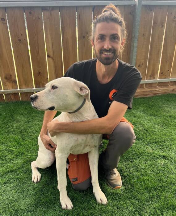 residencia canina nudacan