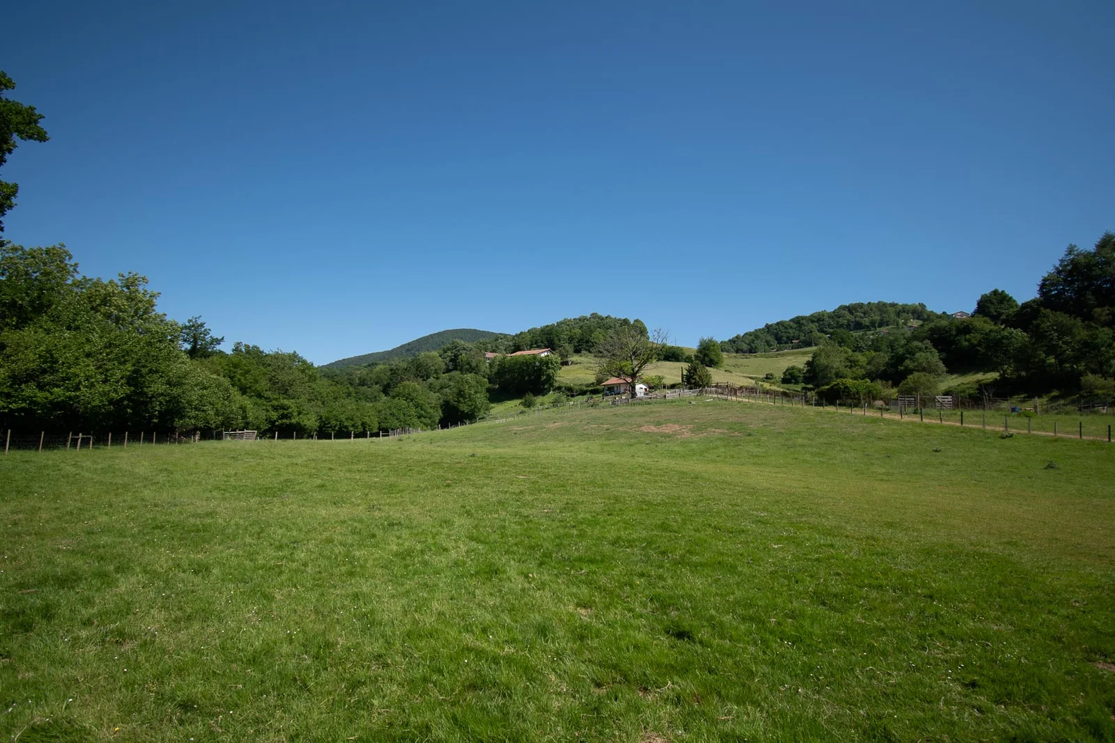 guardería canina win win