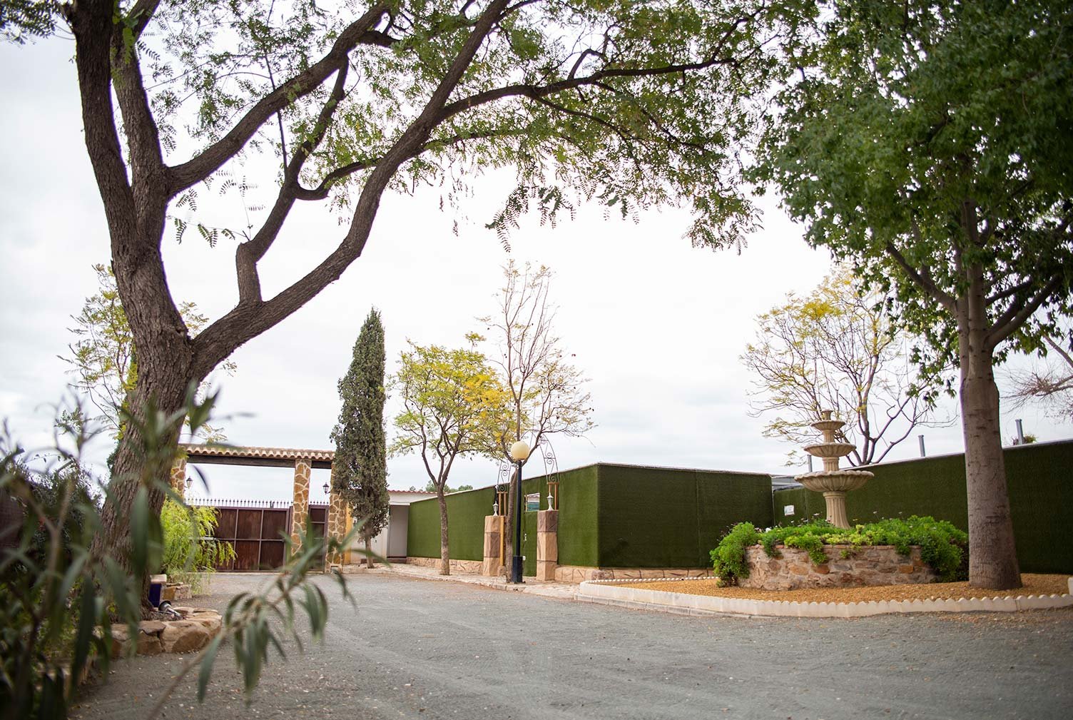 residencia canina somos muy perrunos