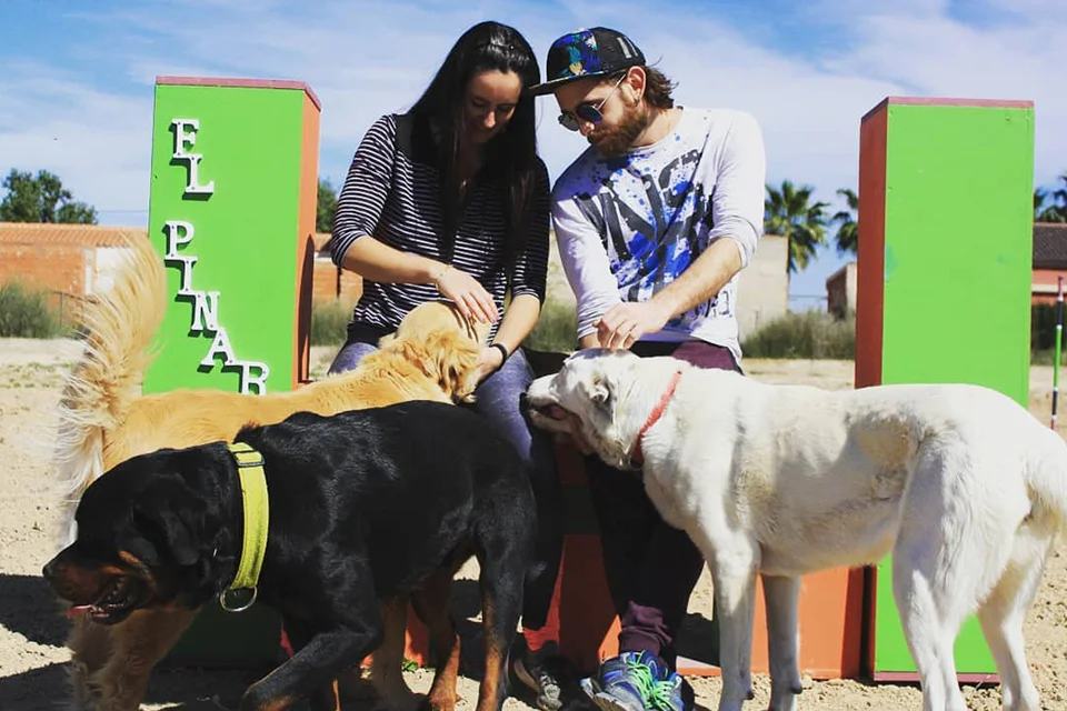 guardería canina el pinar