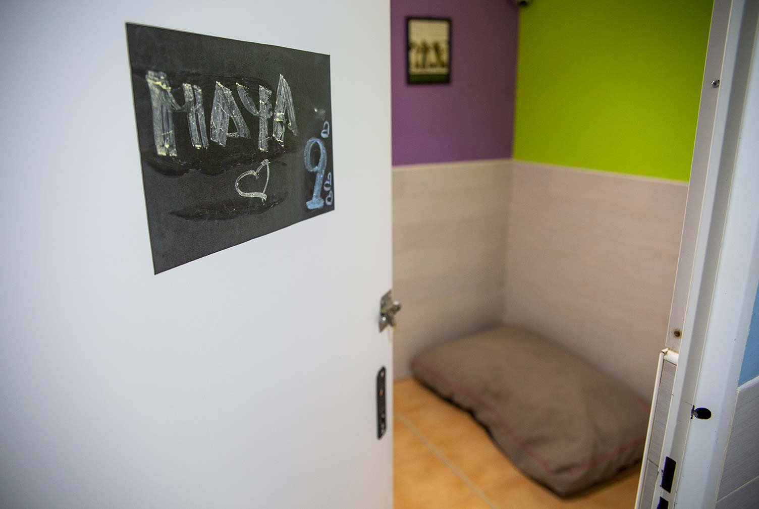 residencia canina somos muy perrunos