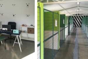 residencia canina faitebo