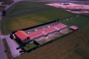 residencia canina eder can