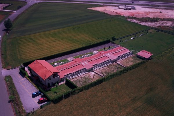 residencia canina eder can