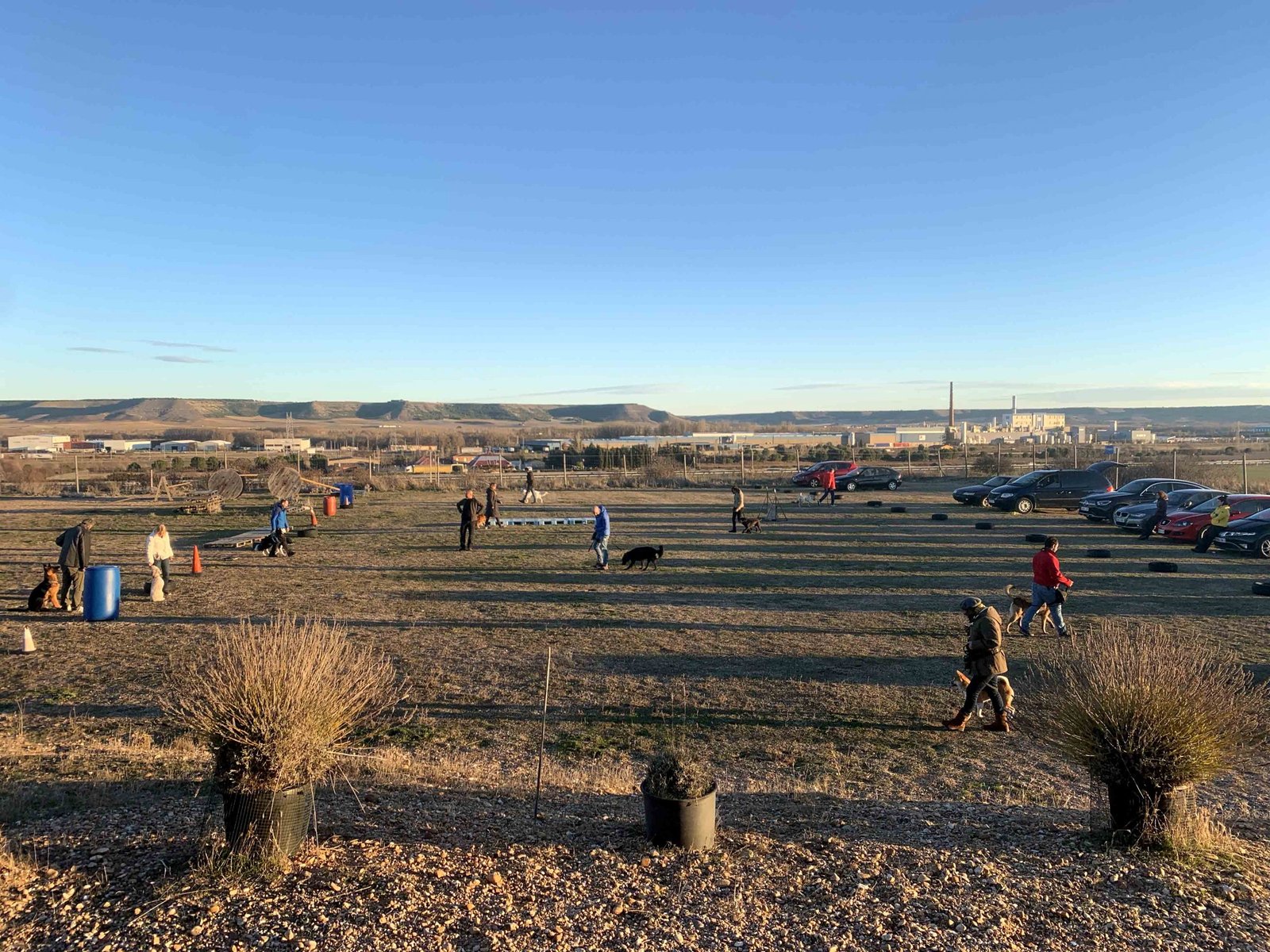 guarderia canina lobocan