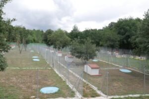 centro canino a fresca ribera