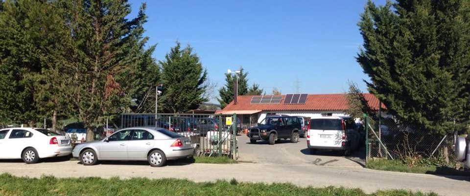 guardería canina zizur