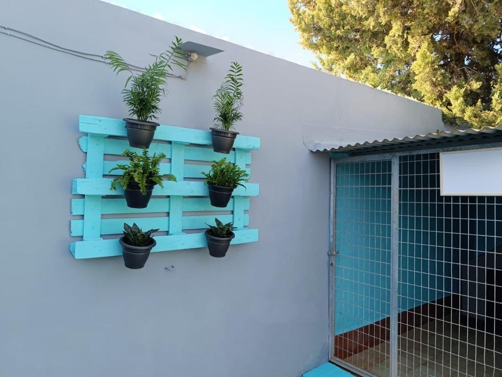 residencia canina los arboles