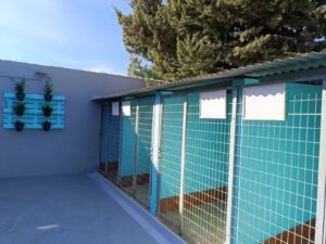 residencia canina los arboles