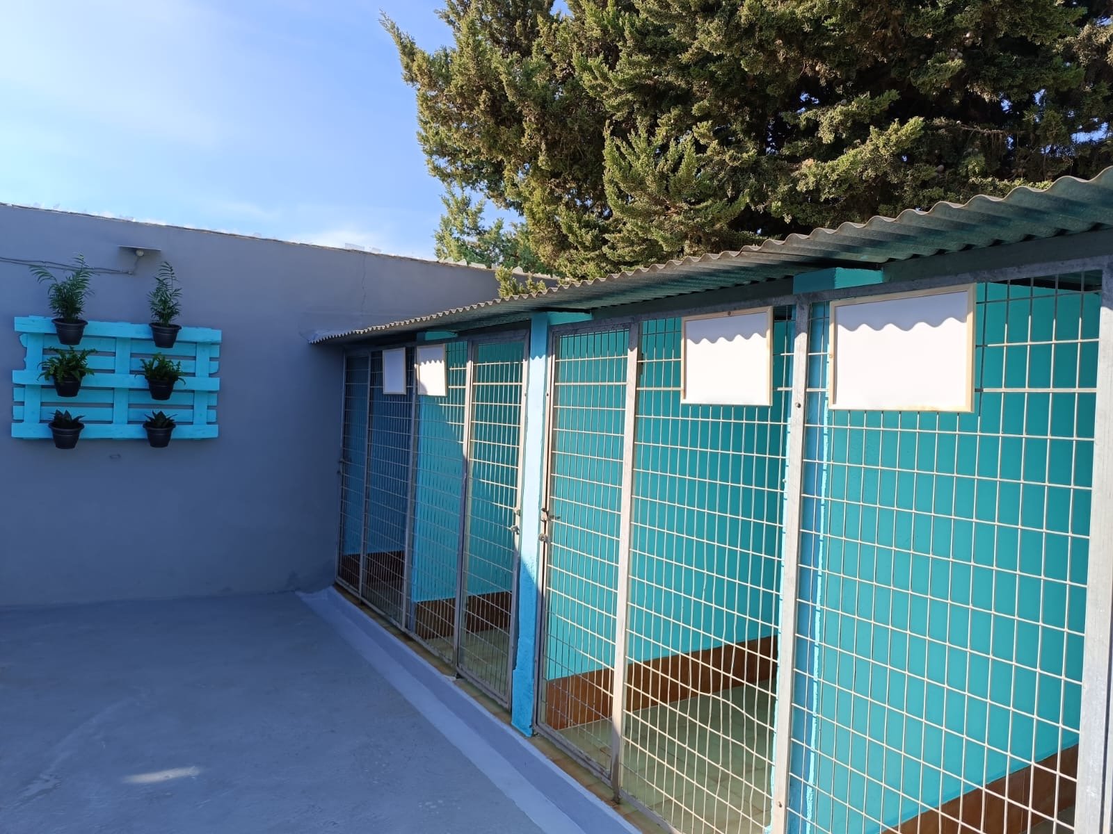 residencia canina los arboles