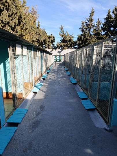 residencia canina los arboles