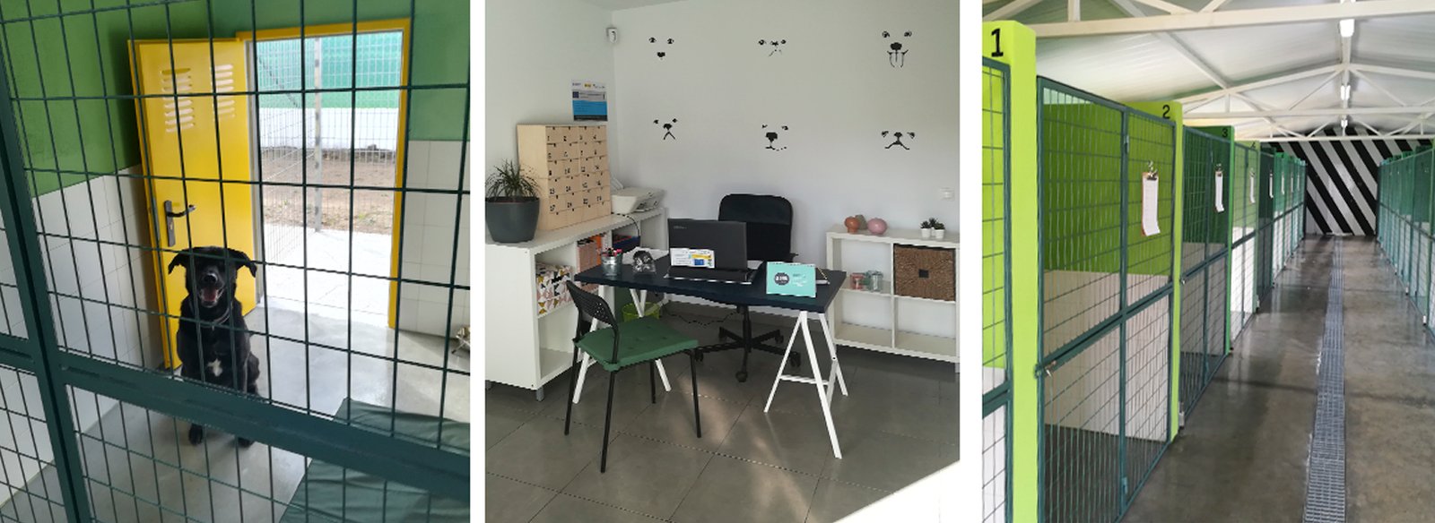 residencia canina faitebo