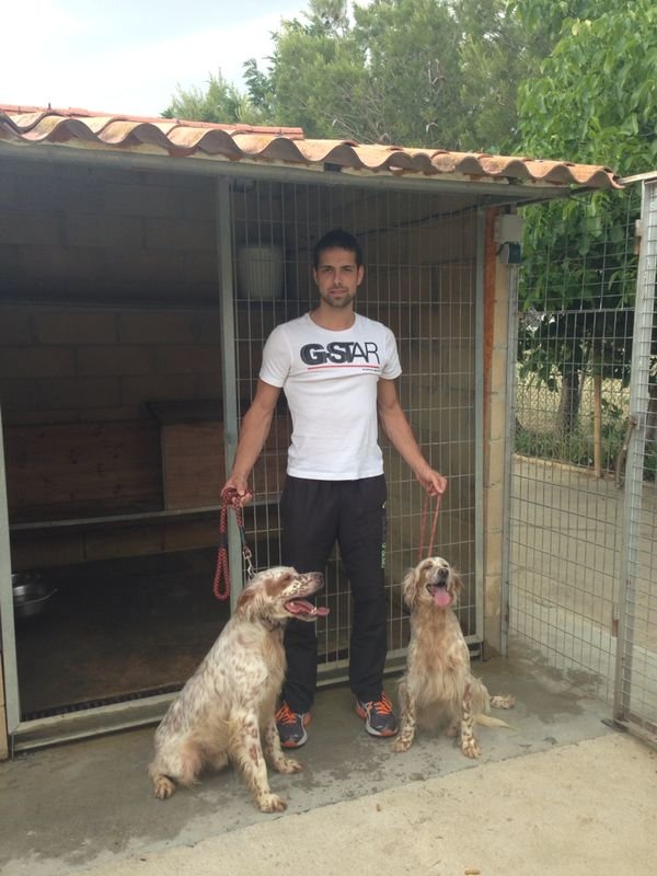 guardería canina zizur