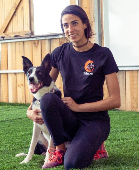 residencia canina nudacan