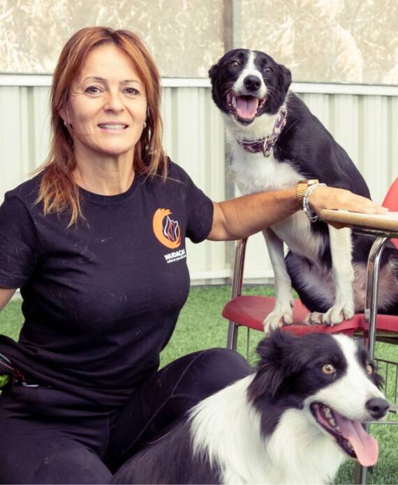 residencia canina nudacan