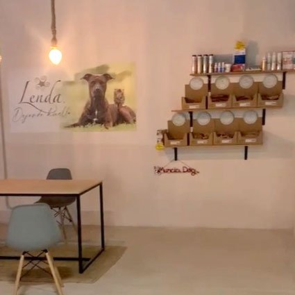 residencia canina murcia dog