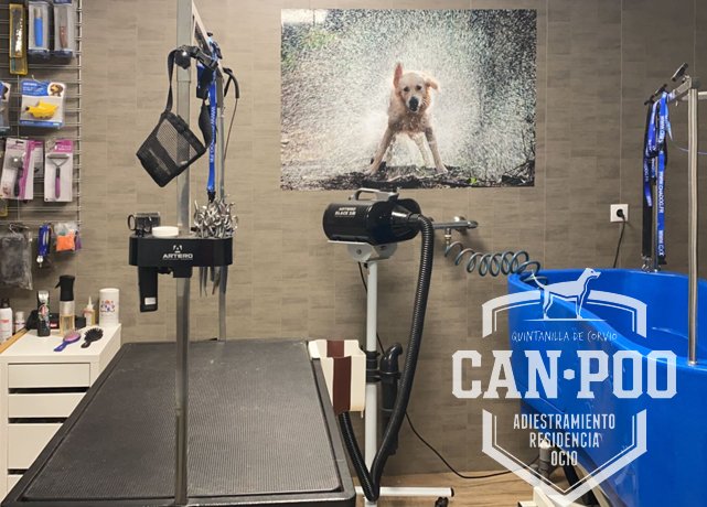 residencia canina can poo