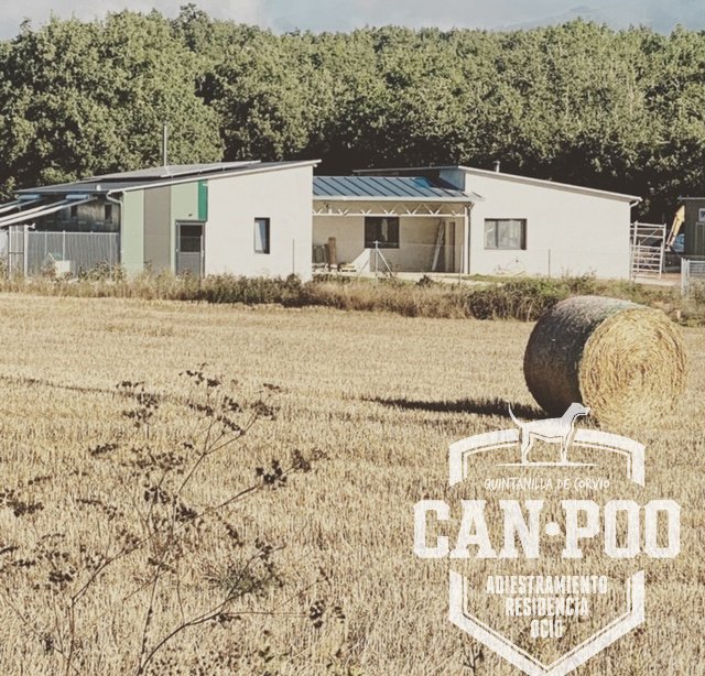 residencia canina can poo