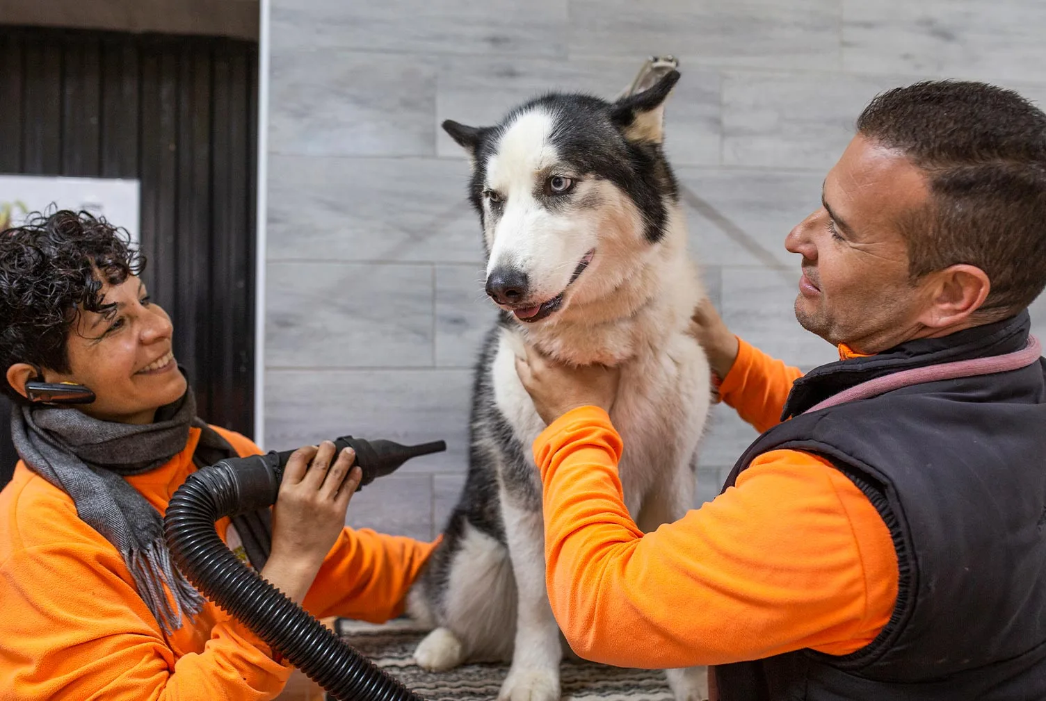 residencia canina somos muy perrunos