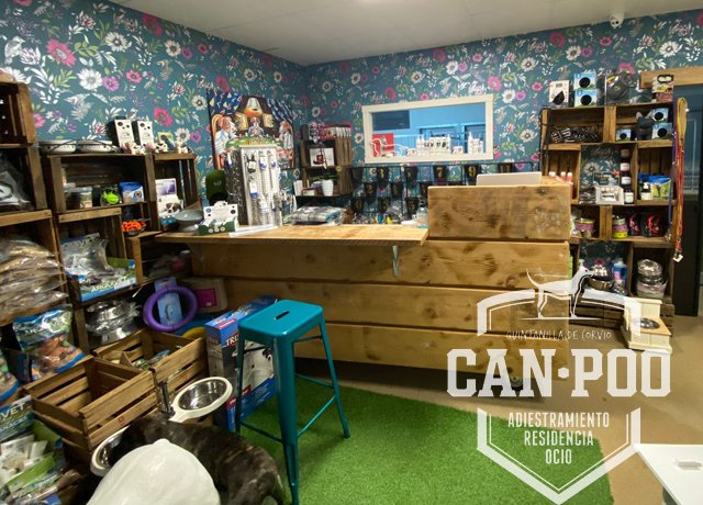 residencia canina can poo
