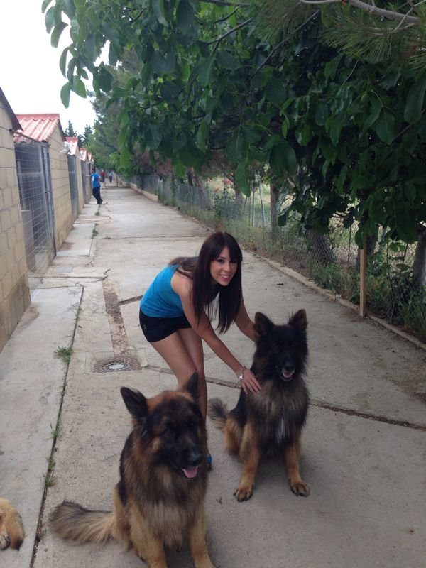 guardería canina zizur