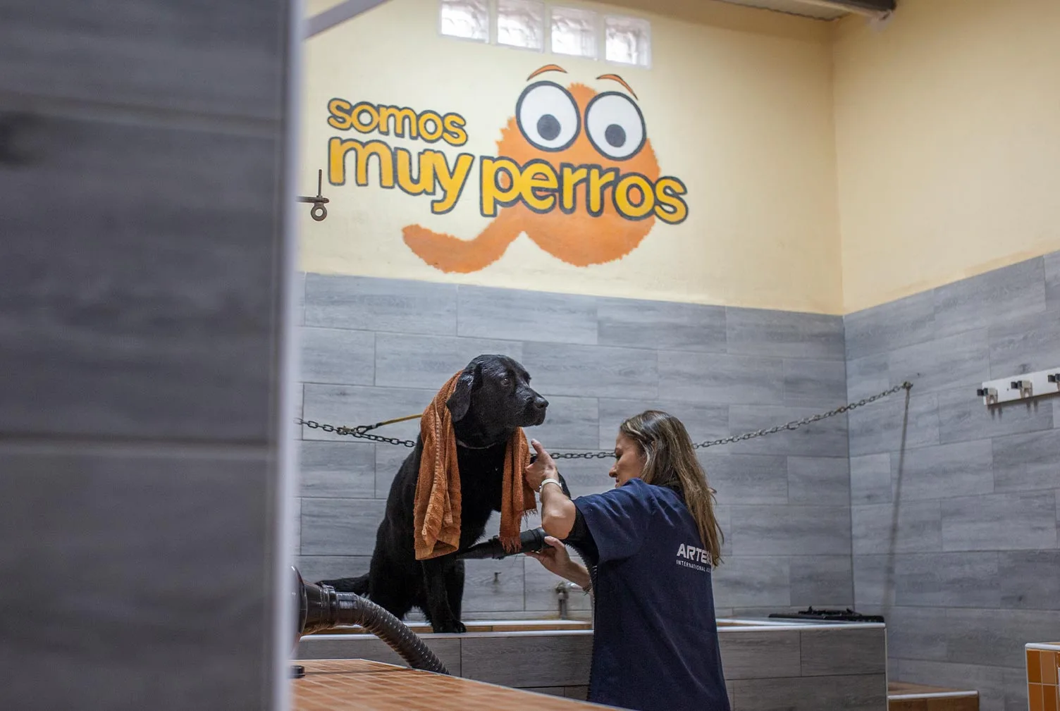 residencia canina somos muy perrunos
