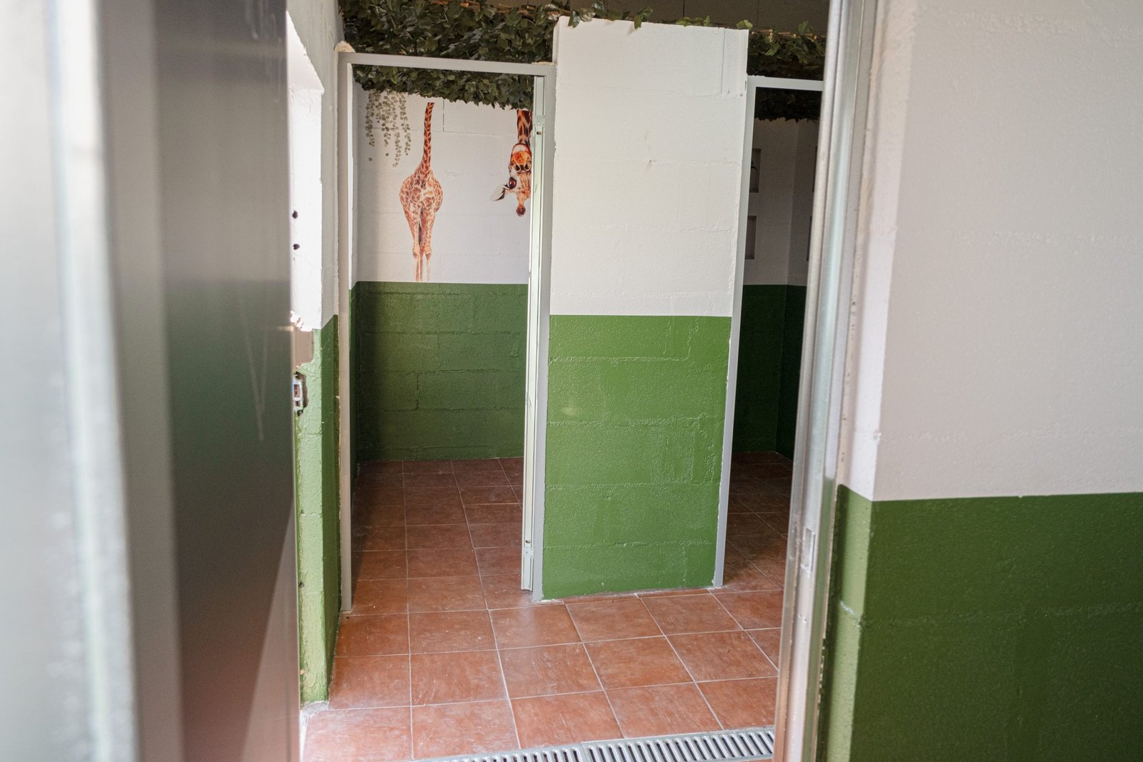 hotel canino canedupo
